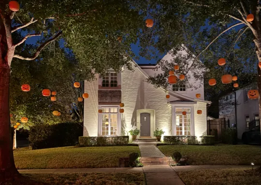 Landscape Lighting