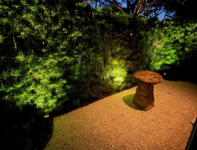 Adjusting Lighting as Landscaping Changes