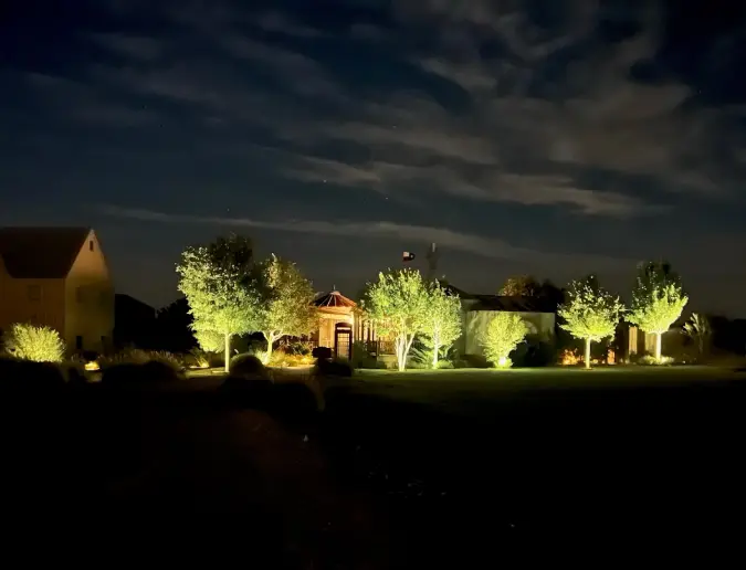 How Tree Uplighting Is Designed