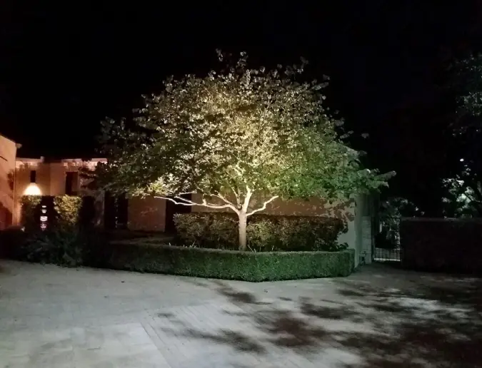 Maintaining Tree Lighting Systems