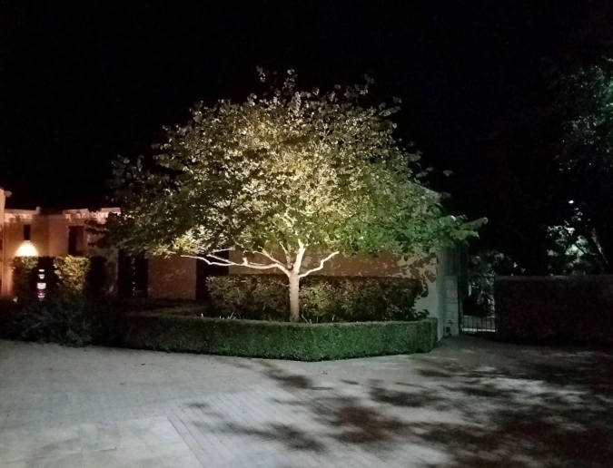 Moonlight by Illuminations Lighting