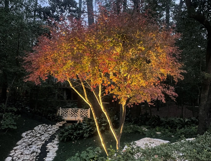 Moonlighting in a Full Landscape Lighting Design