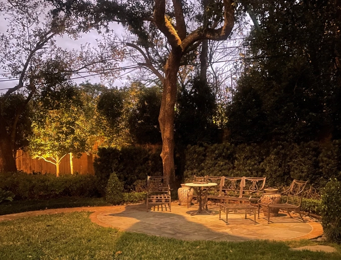 Professional Tree Uplighting Installation
