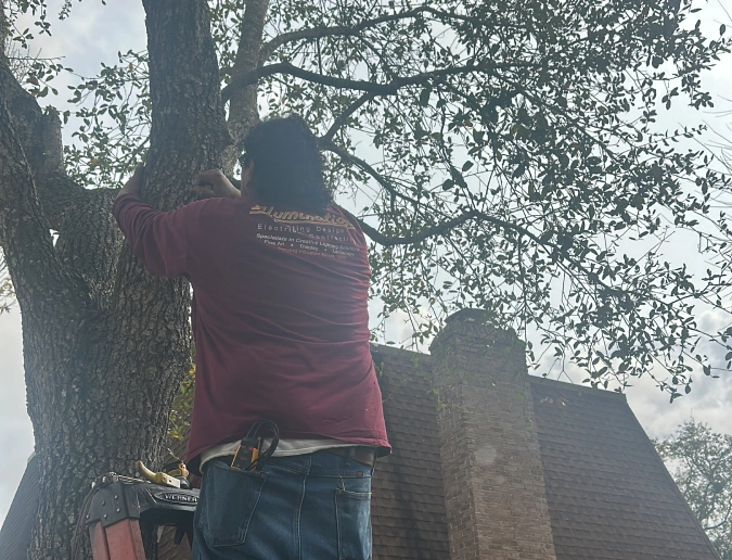 Maintaining Tree Lighting Systems