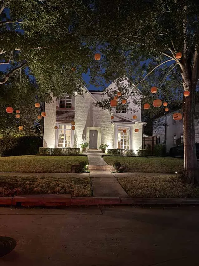 Illumination Lighting Holiday Lighting