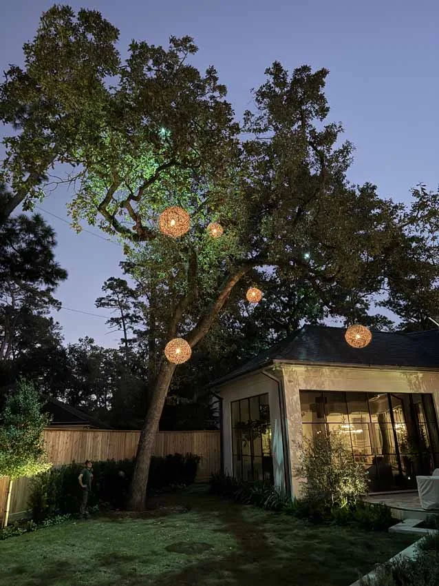 Illumination Lighting Holiday Lighting