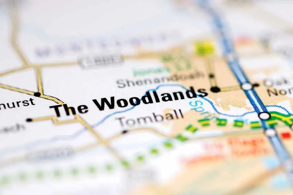 the woodlands